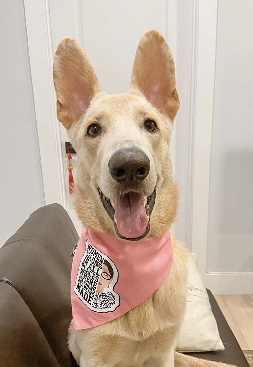 RLebark's tweet photo. Here is an important message: Please VOTE.                                    #VoteForHer https://t.co/QSIm6MGVar