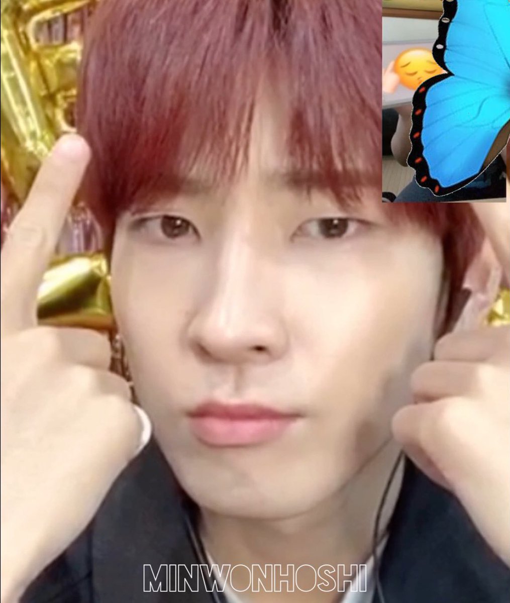 Wonwoo