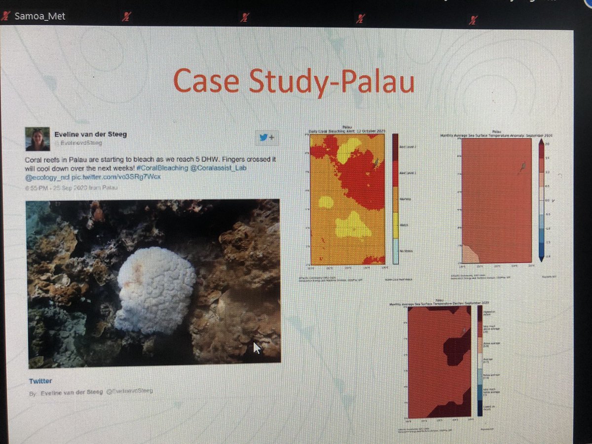 mollypowerstora's tweet photo. #happeningnow at #PICOF7
@ZulfiBegg reviews #Pacific ocean conditions over past 6 months- SST, sea level & coral bleaching 🐠
To explore past, current & future ocean conditions in the region or your country, visit https://t.co/3GRmtSPNrU
#KnowYourOcean @dfat @spc_cps https://t.co/anwsP0d6wf