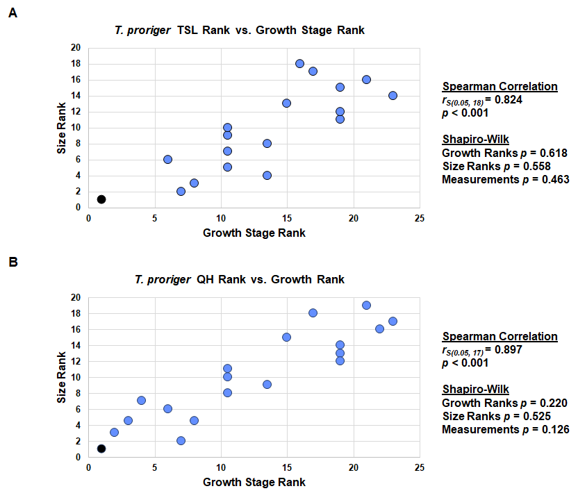 So: here are my results for T proriger! The major growth changes are general enlargement & deepening of the skull, & development of processes on several bones. Size & maturity are positively correlated (used a spearman-rank correlation), no evidence for sexual dimorphism.11/21