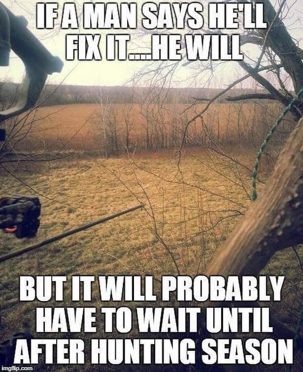 ladderstands's tweet image. Everything has to wait until after deer season! 🦌🏹
. . .
#fixit #getitfixed #afterdeerseason #huntingseason #itcanwait #honeydolist #repairs #brokecrap