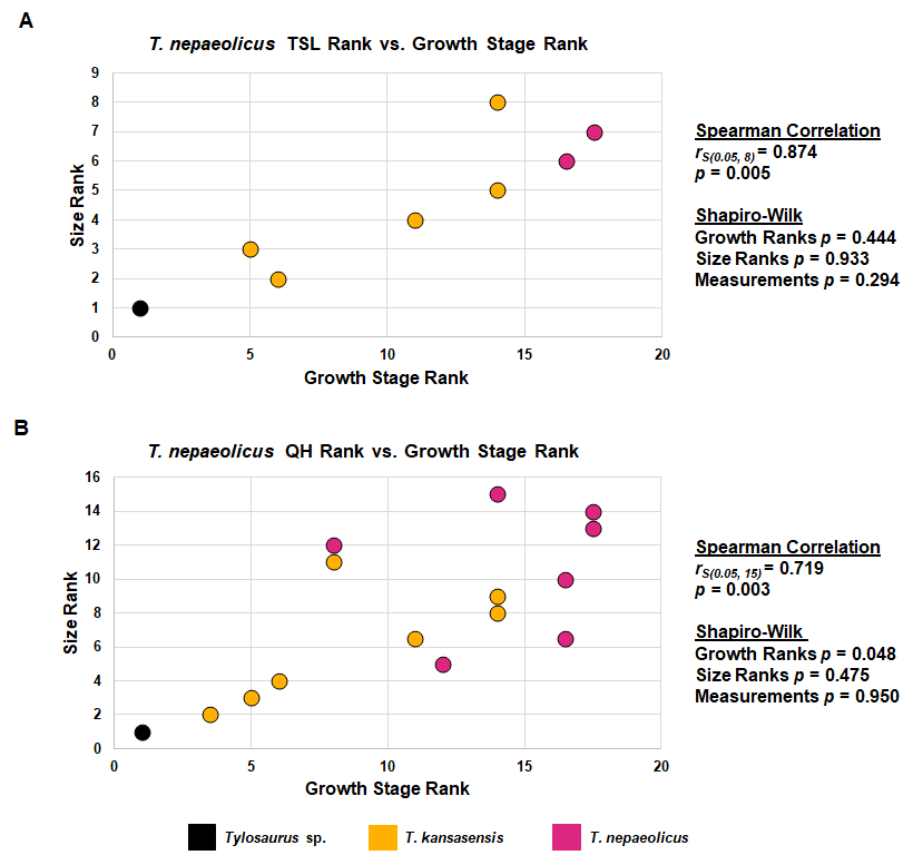 To test the synonymy of Tk & Tn, I analyzed them together. Growth changes are similar to Tp, synonymy is supported, & like Tp, size & maturity are positively correlated, no clear evidence for sexual dimorphism.12/21