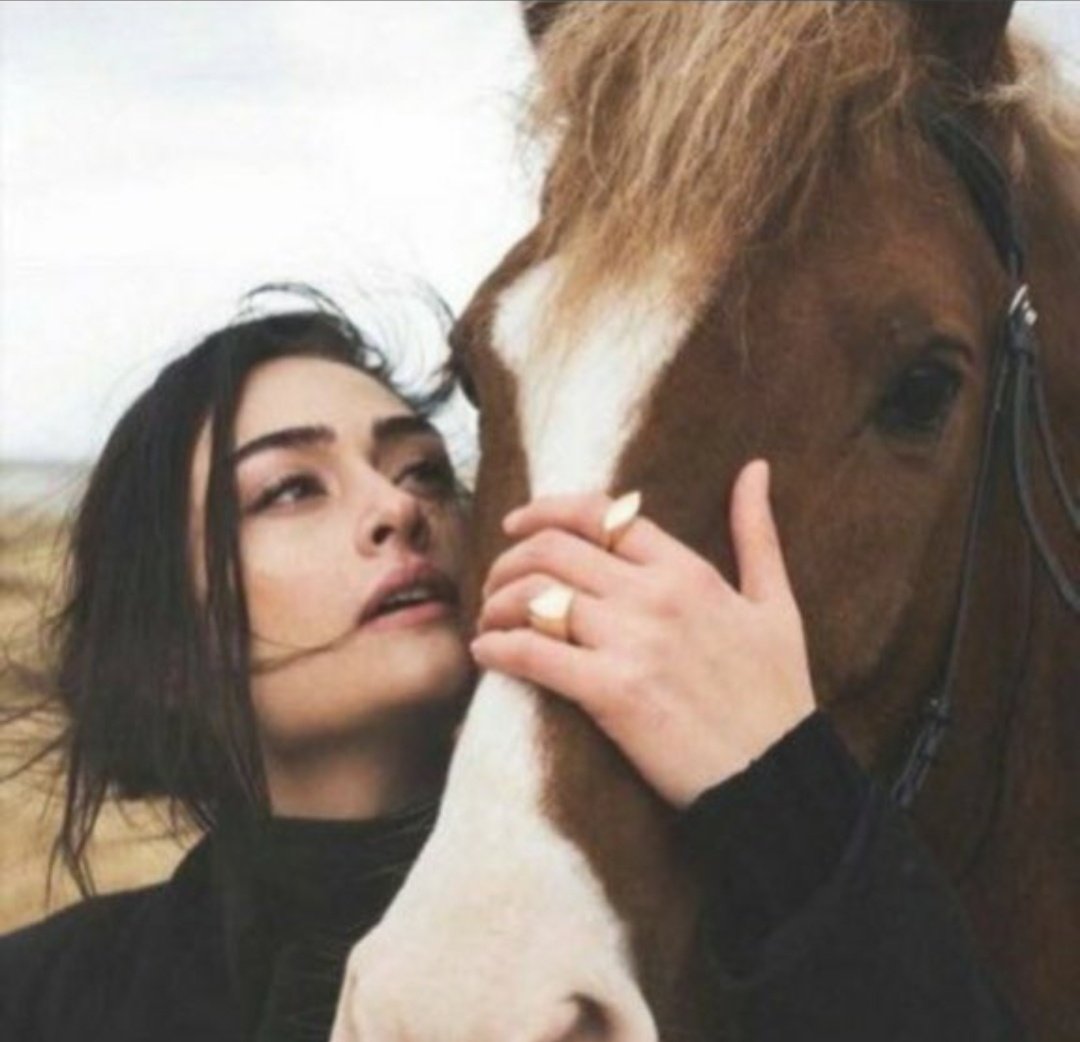 #يحدث_الان

مثلك أنا يا  خيل ما أحني الراس 
طبعي شموخ وما خلق من يذلّه

لي عزّةٍ فوق المشاعر  والإحساس
ماني رضوخ  ودرب عزّي أدله 👌♥️