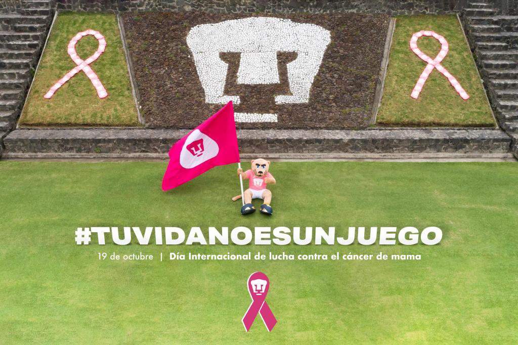 En el Club Universidad Nacional nos sumamos a la conmemoración del Día Mundial de la Lucha contra el Cáncer de Mama.
💻➡️ https://t.co/6ityp4GXJY
#TuVidaNoEsUnJuego 💓
#SoyDePumas https://t.co/EFmJLOFbTt
