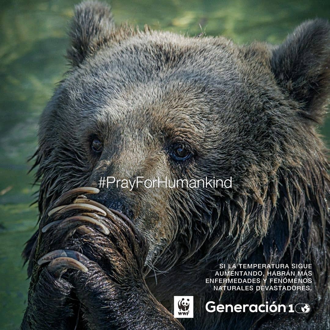 davidvergaracom's tweet photo. Amo esta campaña
#prayforhumankind
Generación 10
https://t.co/wwztQDhPjD
Completemos 1'000.000 de acciones por la humanidad y un planeta sano.
@WWFColombia
@SanchoBBDO https://t.co/EHmGxBdEDD