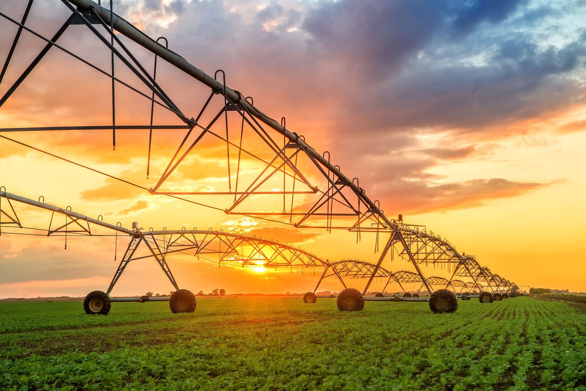 DIVERSIFICATION of the Northern Territory economy, through #agricultural development, is expected to create 150 jobs in the region. #agribusiness #ruralproperty https://t.co/BIHDYtJ5TP https://t.co/Rnn0aLCIQ1