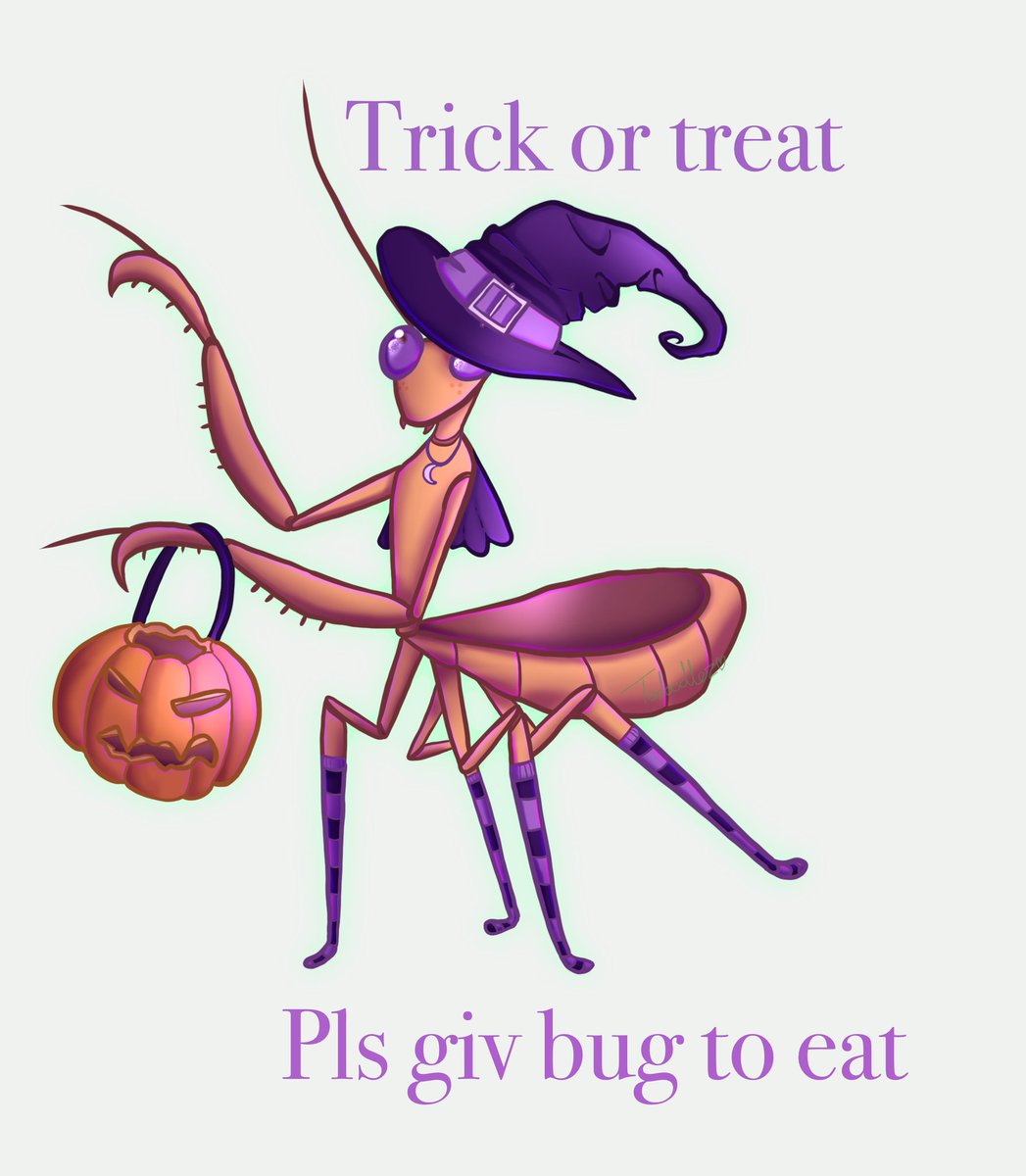 Trick or treat!