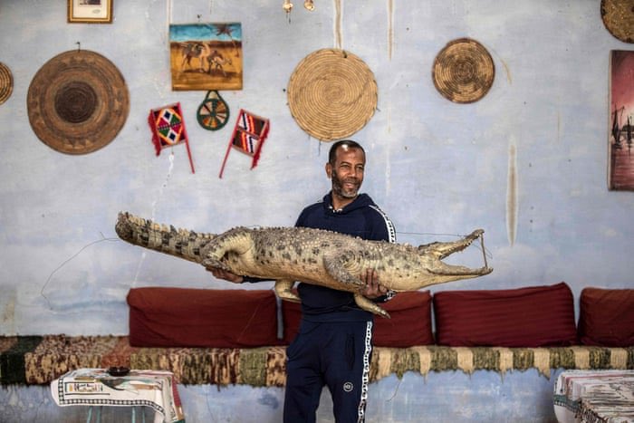 The main reason though dates back to Egypt where the practice of hanging a mummified or stuffed crocodile over your doorway is still practiced today by Egypt’s Nubians, who cherish these animals.More on the Nubian and their connection with crocodiles: https://www.google.com/amp/s/www.timesofisrael.com/egypts-nubians-tame-crocodiles-for-selfie-snapping-tourists/amp/