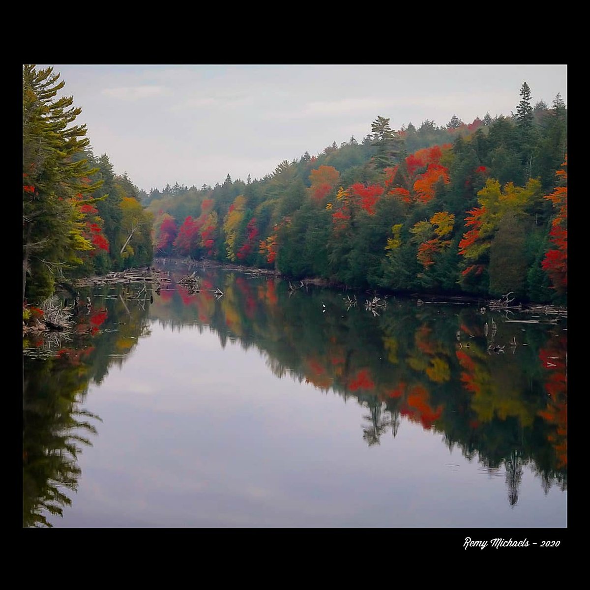 remymichaels's tweet photo. "NORTHERN COLOURS" https://t.co/FOhfmmscpj #CanadianGeographic #NationalGeographic #AlgonquinPark #Wilderness #TeaLake #FallColours #Wildlife #OntarioParks #PicOfTheDay #Travel #Nature #Muskoka #Huntsville #Gravenhurst #Photography #Art #Earth 🌎☀️😎🙏👍🌲🌲🍁🍁📸🐾🐾♥️🏆🇨🇦 https://t.co/Dcbzg7YtuM