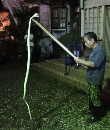 山口 悠 Yu Yamaguchiさん がハッシュタグ 南日本新聞 をつけたツイート一覧 1 Whotwi グラフィカルtwitter分析 山口 悠 Yu Yamaguchiさん がハッシュタグ 南日本新聞 をつけたツイート一覧 1 Whotwi グラフィカルtwitter分析