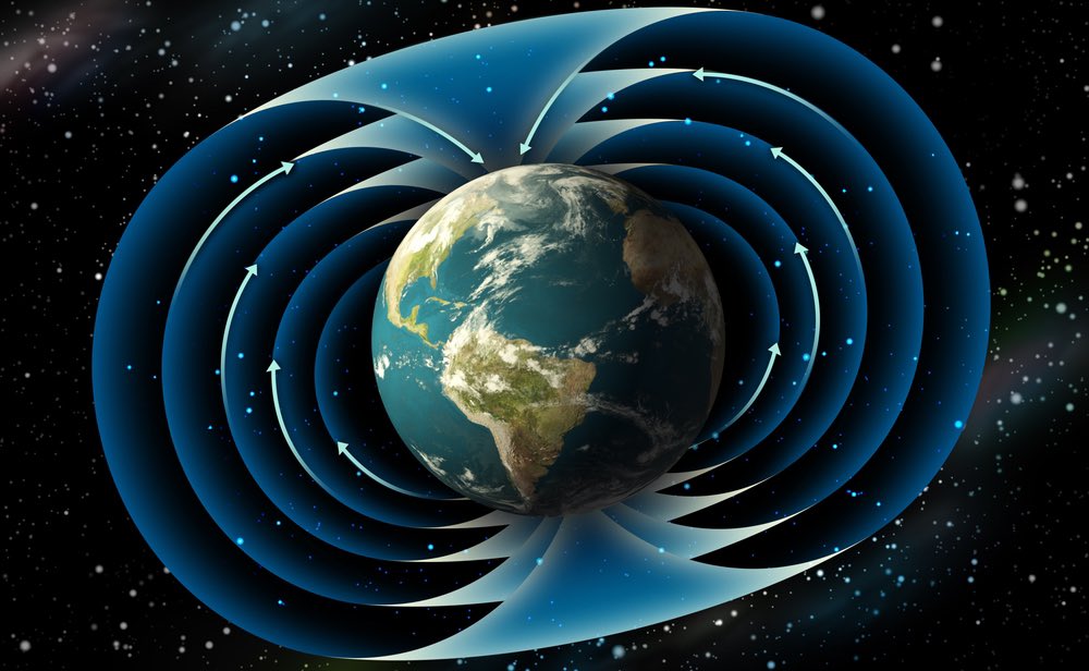 The shape of the torus is commonplace in nature  It is a fractal building block of the Universe found in places as large as Earths magnetic field Or in something tiny like an apple, mushroom cap or glans penis 