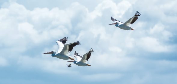 ArlingtonMedit8's tweet photo. After Solving My Questions Of Life, I Became As Free As A Bird https://t.co/V55ppujdxD #Meditation #OnlineMeditation #PurposeOfLife #FindingTrueSelf #HumanCompletion https://t.co/50WPniB8rj