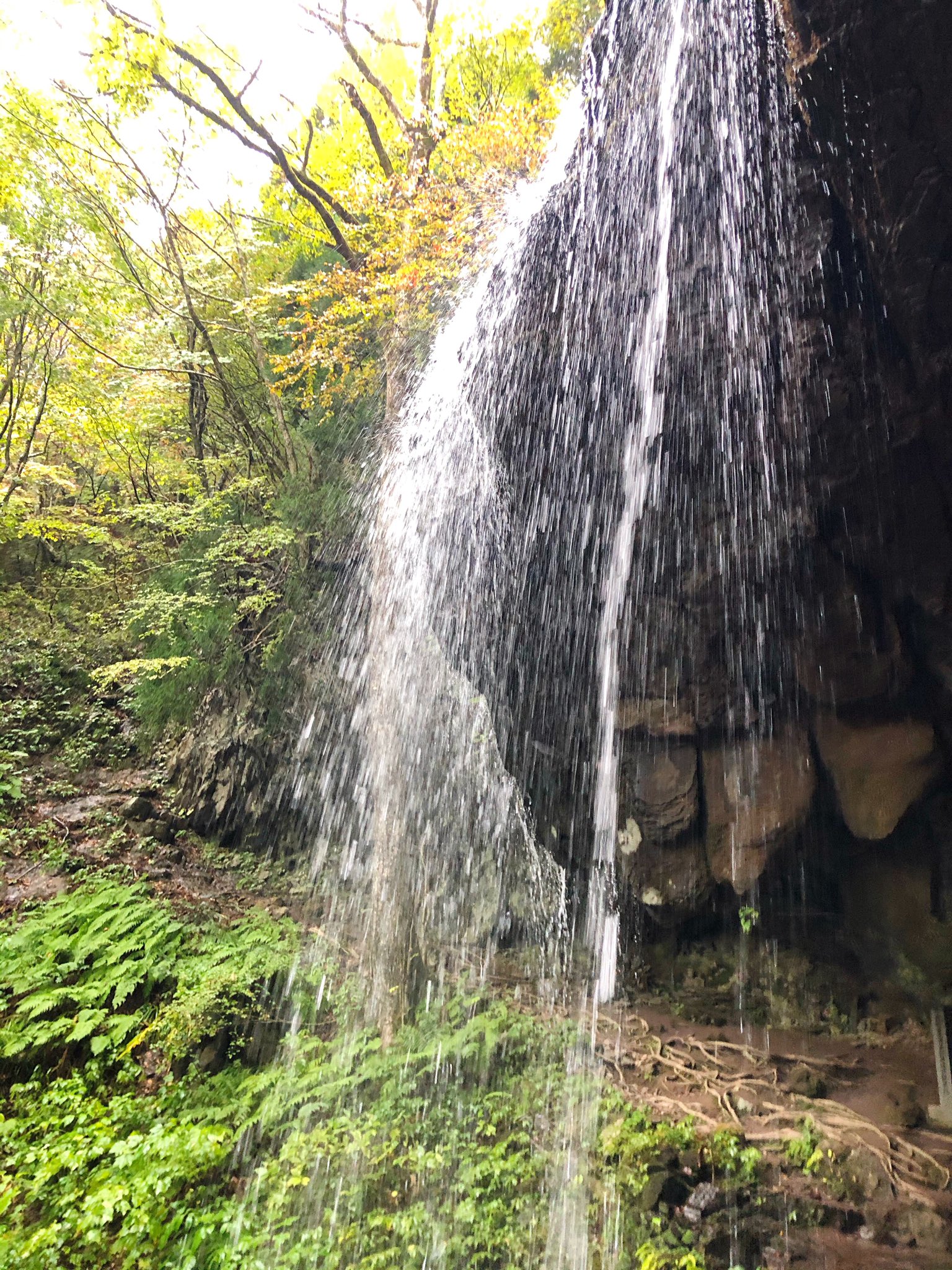 M 岩井滝 裏見の滝 岡山県苫田郡鏡野町上齋原 滝の裏側に入れます 雨が降ってるから滝の水が沢山 ꉂꉂ T Co Yjmwnncsbs Twitter