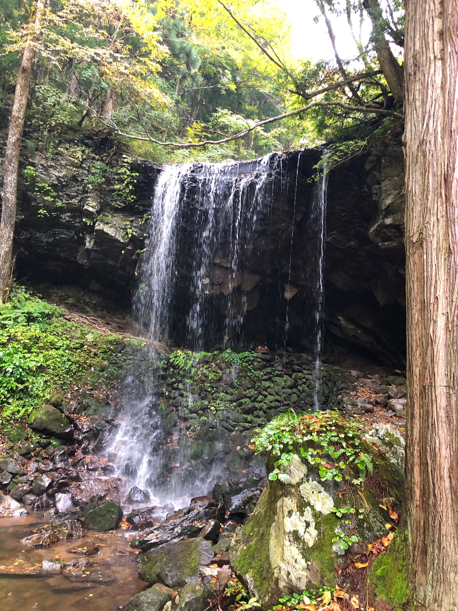 M 岩井滝 裏見の滝 岡山県苫田郡鏡野町上齋原 滝の裏側に入れます 雨が降ってるから滝の水が沢山 ꉂꉂ T Co Yjmwnncsbs Twitter