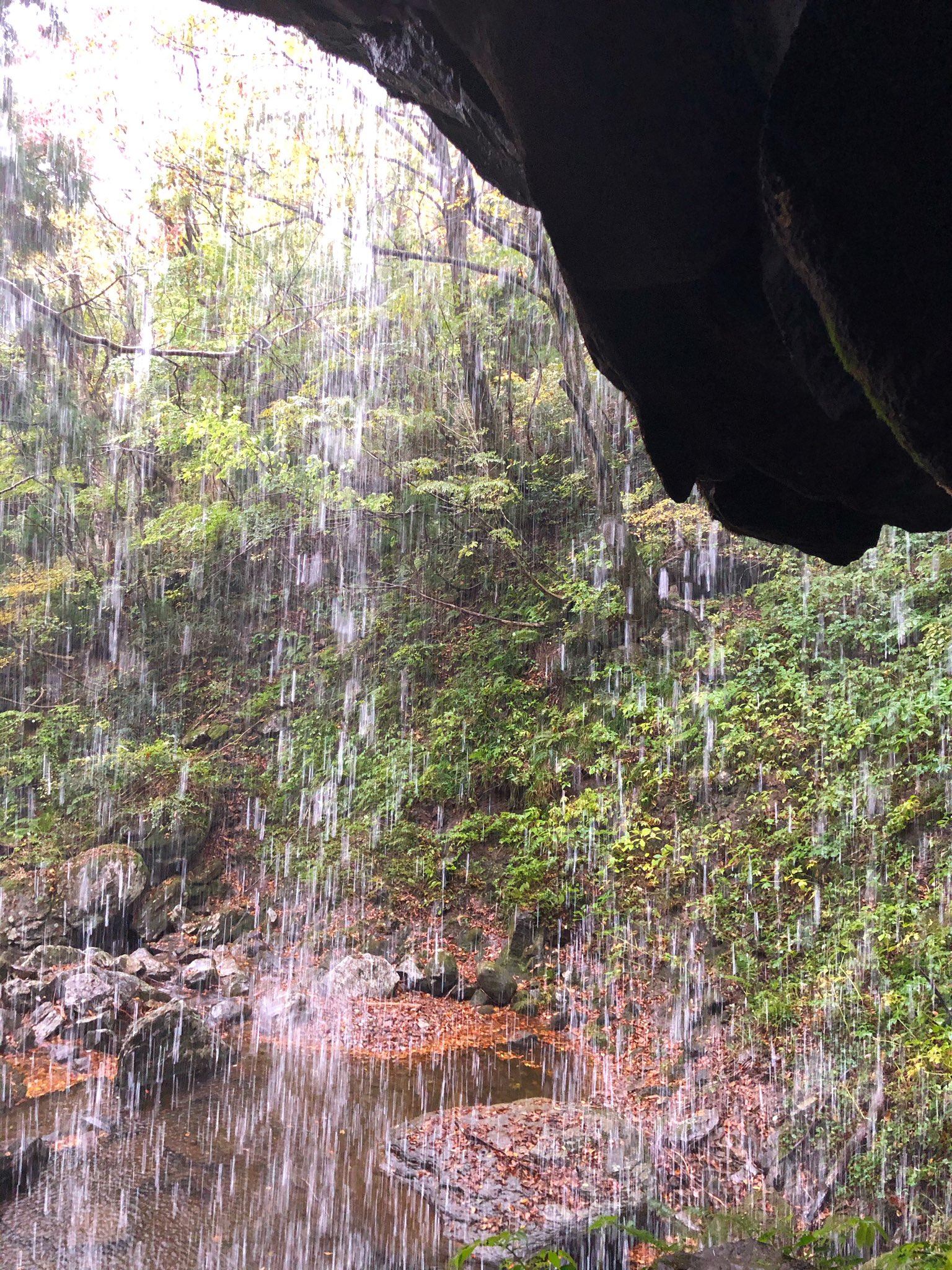 M 岩井滝 裏見の滝 岡山県苫田郡鏡野町上齋原 滝の裏側に入れます 雨が降ってるから滝の水が沢山 ꉂꉂ T Co Yjmwnncsbs Twitter