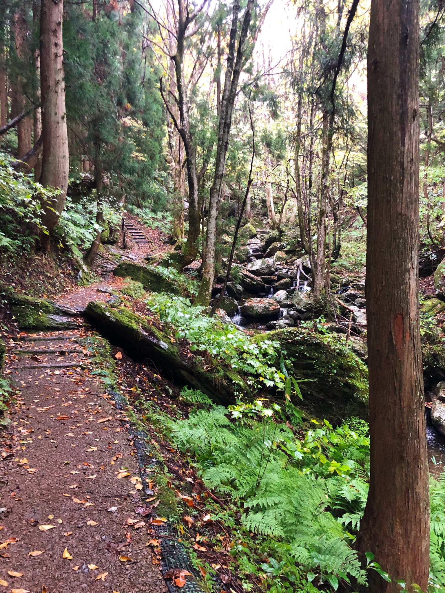 M 岩井滝 裏見の滝 岡山県苫田郡鏡野町上齋原 滝の裏側に入れます 雨が降ってるから滝の水が沢山 ꉂꉂ T Co Yjmwnncsbs Twitter