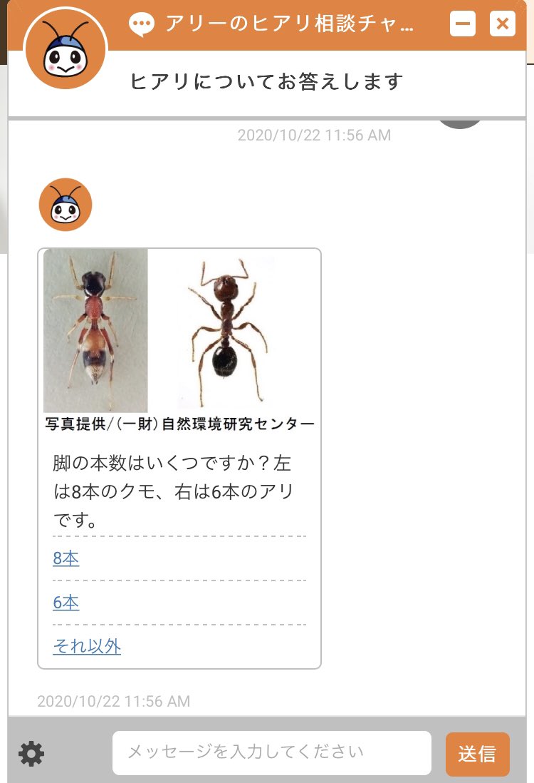 ヒアリ警察 驚きの事実ですが 昆虫とクモの脚の数が違うことを 知らない人がいます 足の数から入れば まずクモを除外できますからね しかし アリグモの擬態で足の数を誤解する人もいます ヒアリ警察 驚きの事実ですが 昆虫とクモの脚の数が違うことを 知らない人がいます 足の数から入れば まずクモを除外できますからね しかし アリグモの擬態で足の数を誤解する人もいます