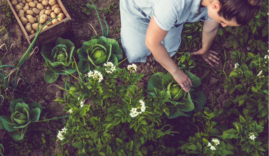 rinirealtor's tweet photo. 3 Tips for a Healthy, Sustainable Home https://t.co/V49zRP8rf3 https://t.co/moMSd0qWXQ