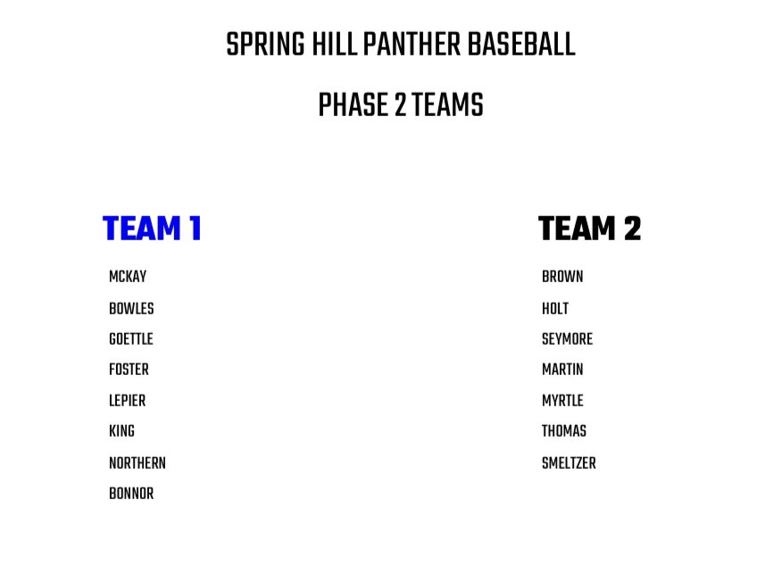 Spring Hill Panther Baseball (@pantherhill) on Twitter photo 