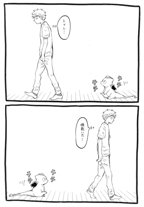 嵐の日に窓破壊して家に侵入したトカゲが懐いて離れない 