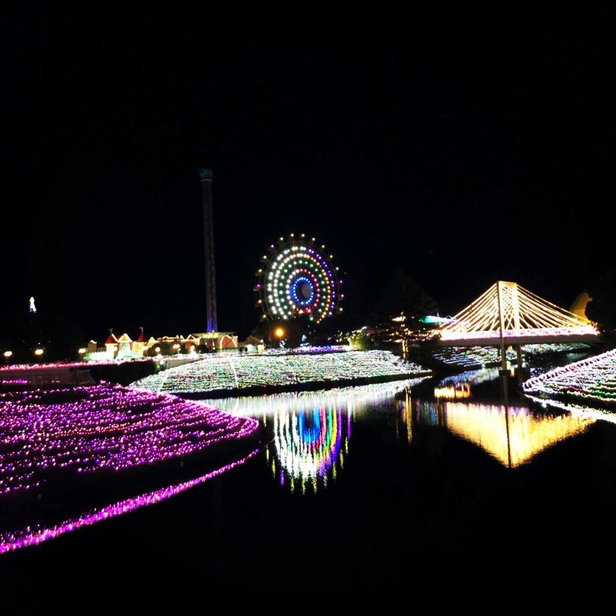 株 パック三樹 ウチのケイがレオマワールドに行ってきたそうです Newになってから初めて行ったのでいろいろ変わっててびっくりしたそうです ニューレオマワールド レオマワールド イルミネーション 遊園地 丸亀市 テーマパーク