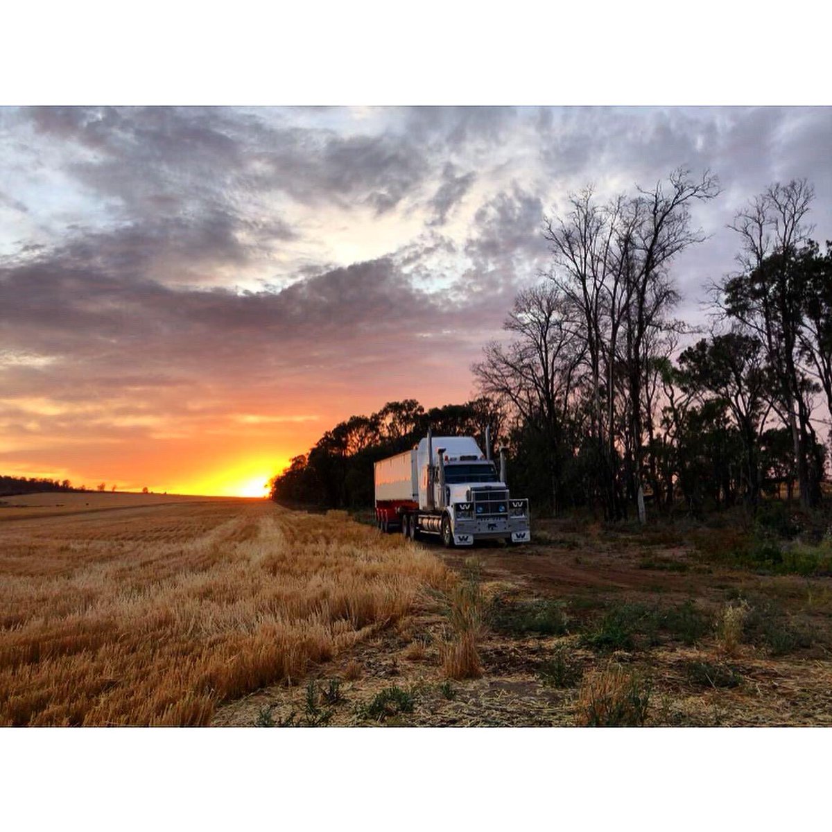 JBAgpics's tweet photo. Star of the show @WstrnStarTrucks #harvest2020 #ausag #farmsimple https://t.co/rHP4gBvTlZ