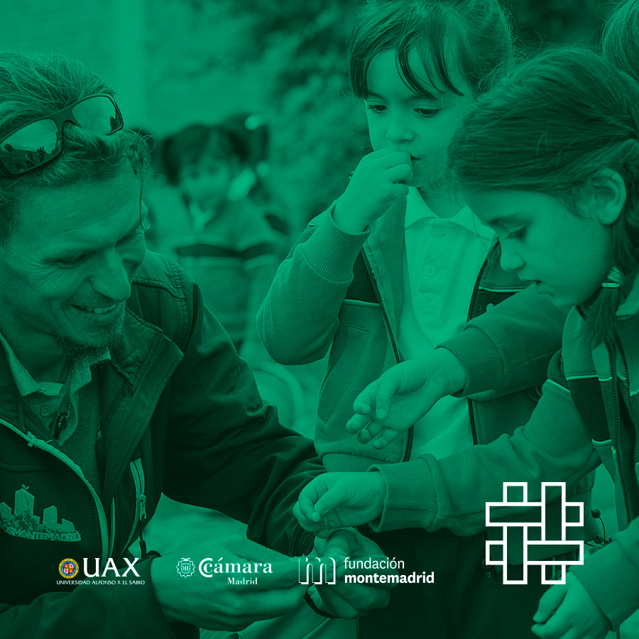 #FelizViernes 🟢

Desde <a href="/iceas_ong/">ICEAS Asociación</a> , a través de #PorMadrid2020, tiene como objetivo ayudar a los colectivos más vulnerables del Puente de Vallecas, concretamente en el barrio de San Diego, uno de los más empobrecidos de toda la capital.

#PorMadrid2020 #solidaridad #COVID19