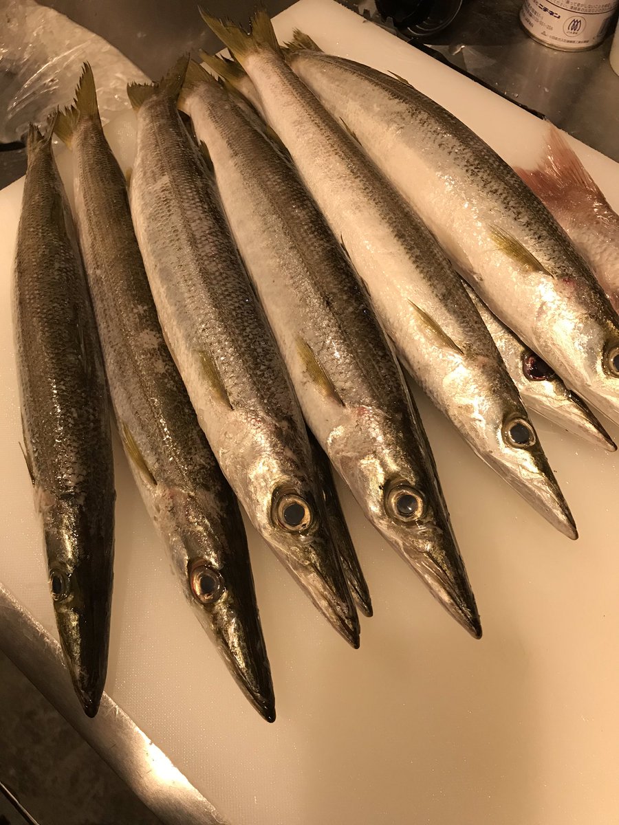 お刺身食べたい