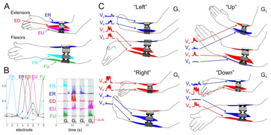 Sensors_MDPI's tweet image. Latent Factors Limiting the Performance of #sEMG-Interfaces
👉mdpi.com/1424-8220/18/4…
#electromyography
#humancomputerinterface
#motorcontrol
#patternclassification
#artificialneuralnetworks