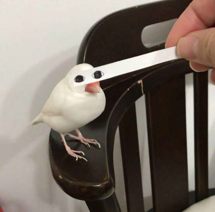 ทำไงดี กลัวเขาเห็นว่าทำสายตาล้มล้างสถาบัน: