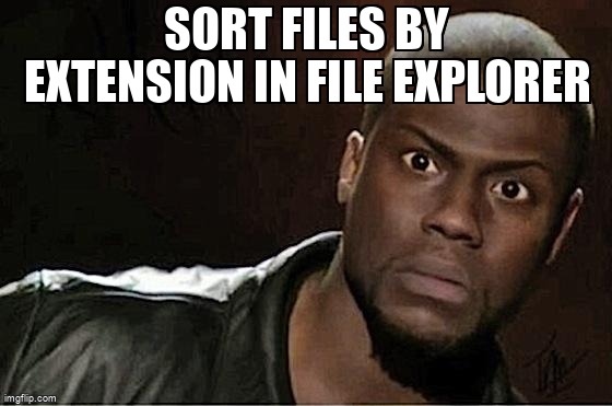 askubuntumemes's tweet image. Sort files by extension in file explorer askubuntu.com/questions/1285… #filemanager #filesorting