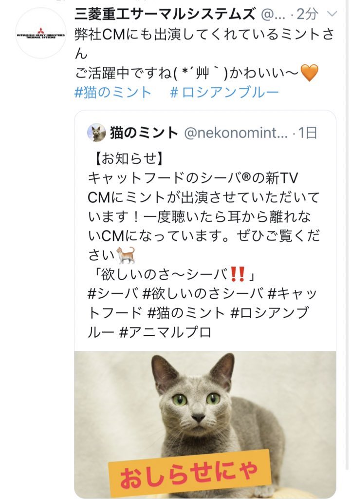 猫のミント Mhi Mth Japan 三菱重工サーマルシステムズ様 ありがとうございます ビーバーエアコンに出ているミントはまだ一歳でした 毛がほよほよでねんねしてる可愛いcm です 美しい北川景子様と共演しました Youtubeにもcmがあるので良かったらご覧