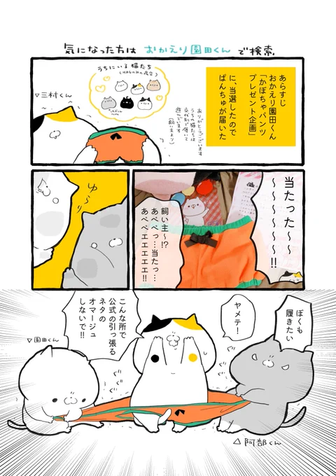 #おかえり園田くん のかぼちゃパンツプレゼント企画、ありがたい事に当選したので我が家の猫たちがお祭り騒ぎ状態ですドナパウラさん本当にありがとうございます!お礼の気持ちを込めて、その模様を漫画にしたのでご覧下さいそして初見の方はあわよくば園田沼でお待ちしております? 