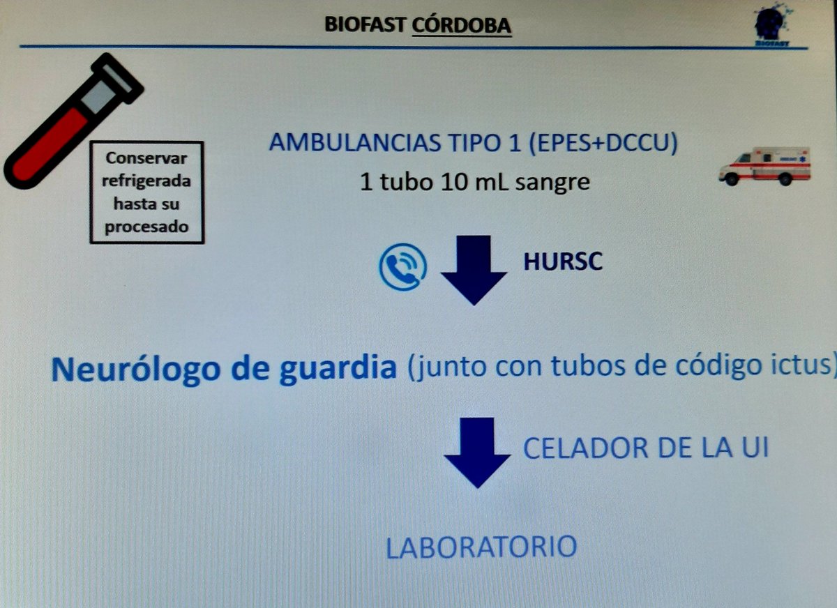 061Cordoba's tweet photo. Se inicia el estudio de protocolo #BIOFAST en atención de códigos #ictus en #prehospitalaria, para detectar, a través de marcadores, si es #hemorrágico o #isquémico.
Participando #EPES (#EE Terrestre y Aéreo) y #SUAP. En colaboración con #Neurología de @HUReinaSofia https://t.co/59AdbxCtSu