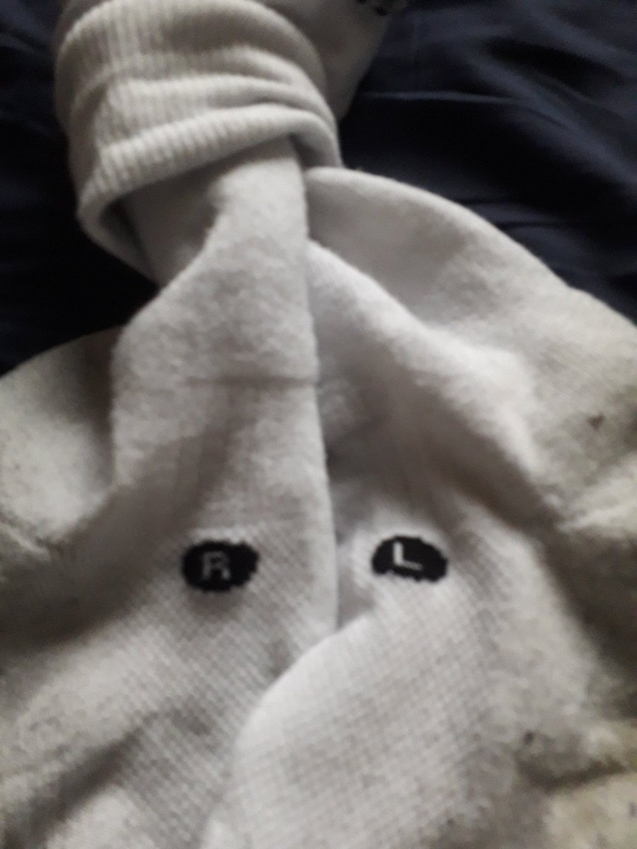 secretlyajedi's tweet photo. Due to current Covid-19 restrictions Dana is unable to actively spar with anyone who is not a direct member of her household. Unfortunately for MrF that means him. Yes we are amused his socks remind him which feet to go on (it's been awhile) #MrFRefs #MrFfencestoo #wearewffc https://t.co/419XwIMR2k