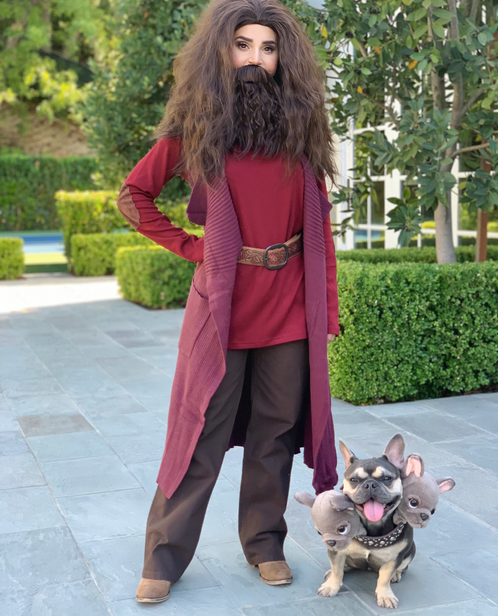 Rosanna Pansino on X: Hagrid & Fluffy! Halloween costume ideas for you and  your dog! 🐶🎃   / X