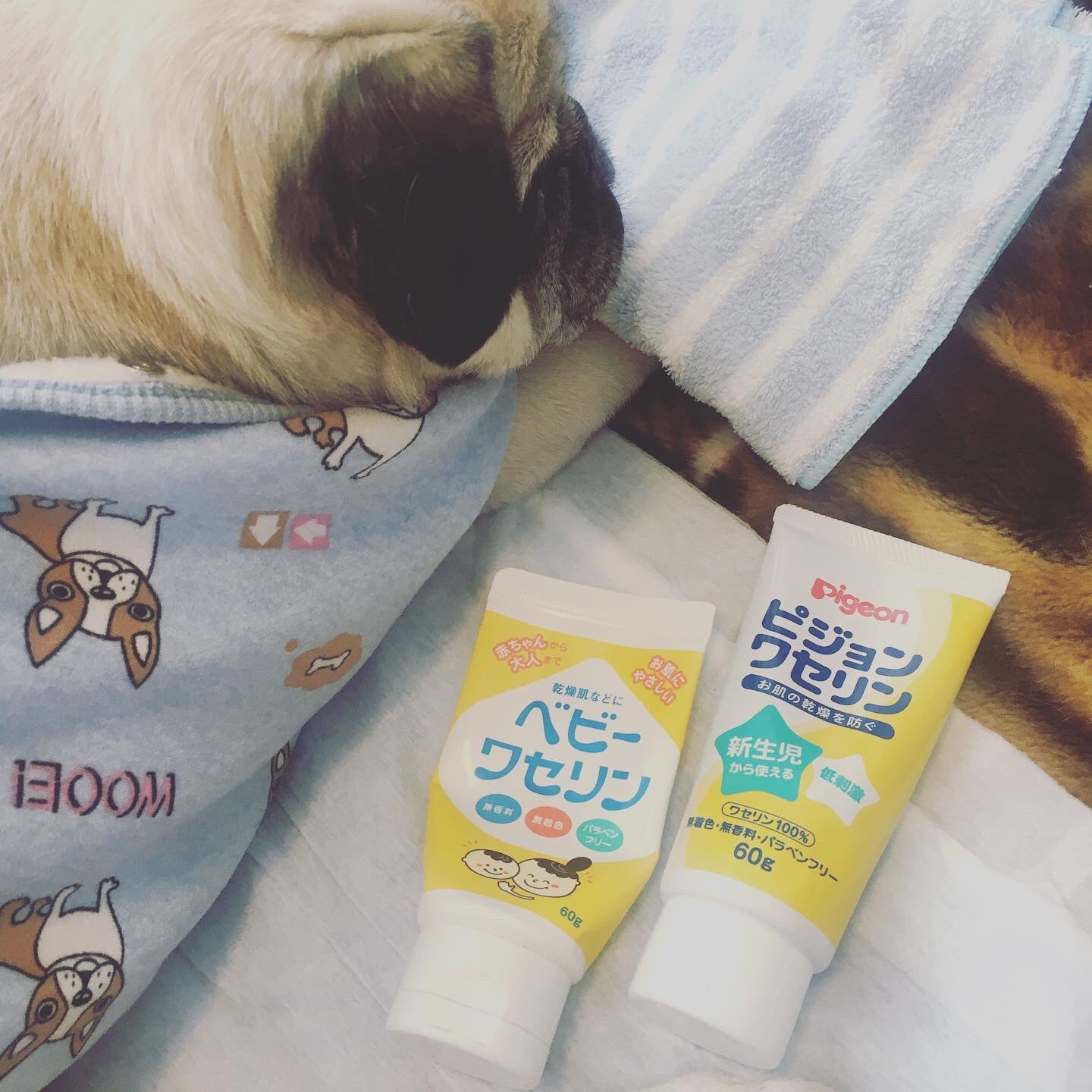 ウリコ 使ったのはこちらのベビーワセリン 今回左右で違うワセリン試してみたんだけど 圧倒的に建栄のワセリン の方が早く浸透して角質柔らかくなりました 秘密結社老犬倶楽部 T Co My9ch2byhr Twitter