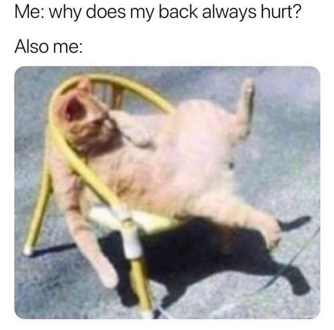 Cool  🙃 🤣
More in a free game ➡️ bit.ly/YoN_Game ❤️

#joke #jokes #fun #funtime #esdroid #android #google #mobile #topapp #topapps #bored #boring #mobileapp #app #apps #game #mobilegame #mobilegames #games #yesorno #yes #no #funny #newgame #meme #memes