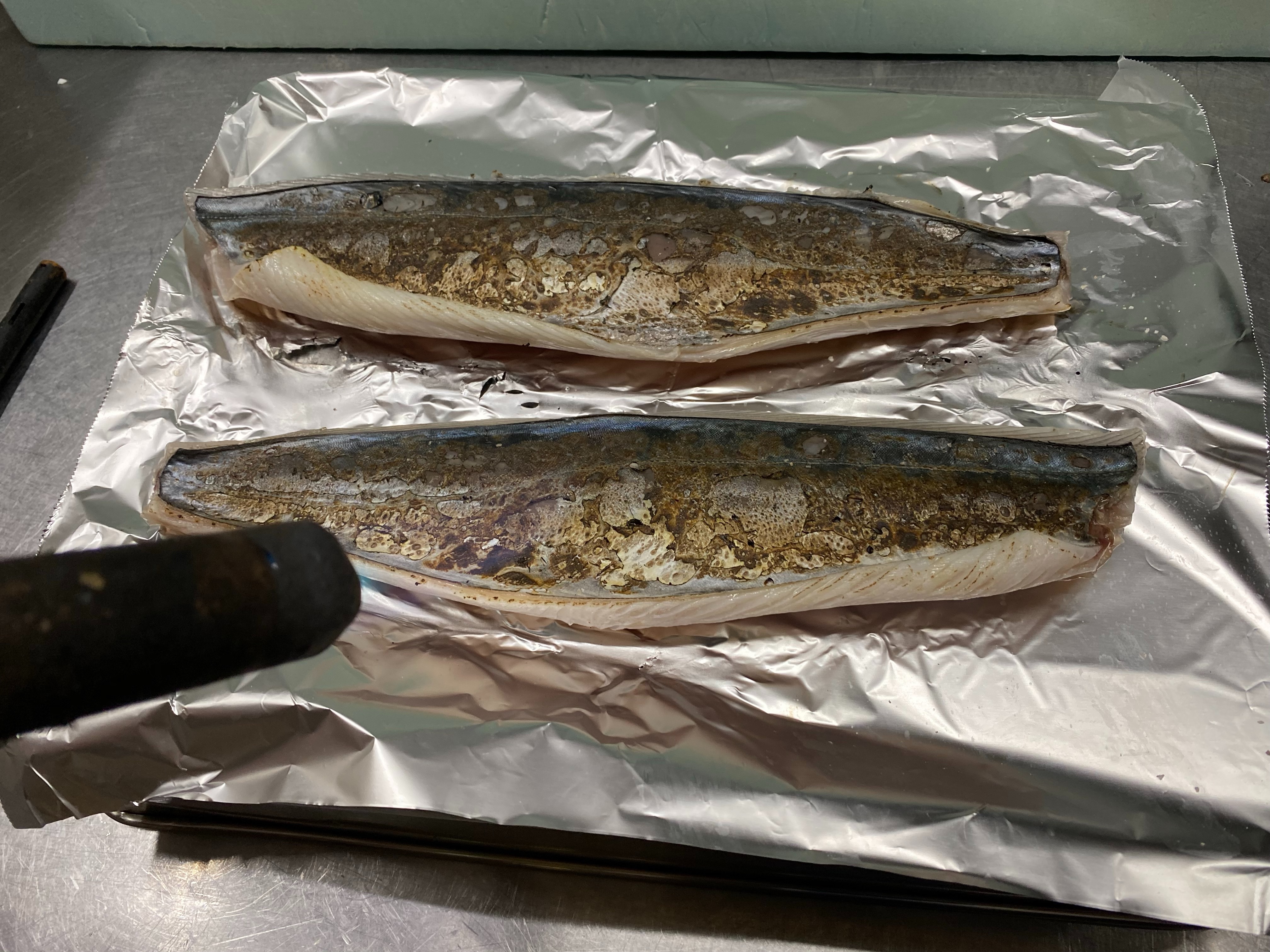 魚七鮮魚店 稲毛直売所 本日の刺身盛り合わせに入るサゴシ サワラの幼魚 を焼き霜造りにしています 皮 を焼いて 余分な脂をとり魚本来の風味をひきたてる調理法です 皮ごと食べられます 稲毛 サゴシ 焼霜造り 鮮魚 居酒屋 T Co Cvzxo3chz0