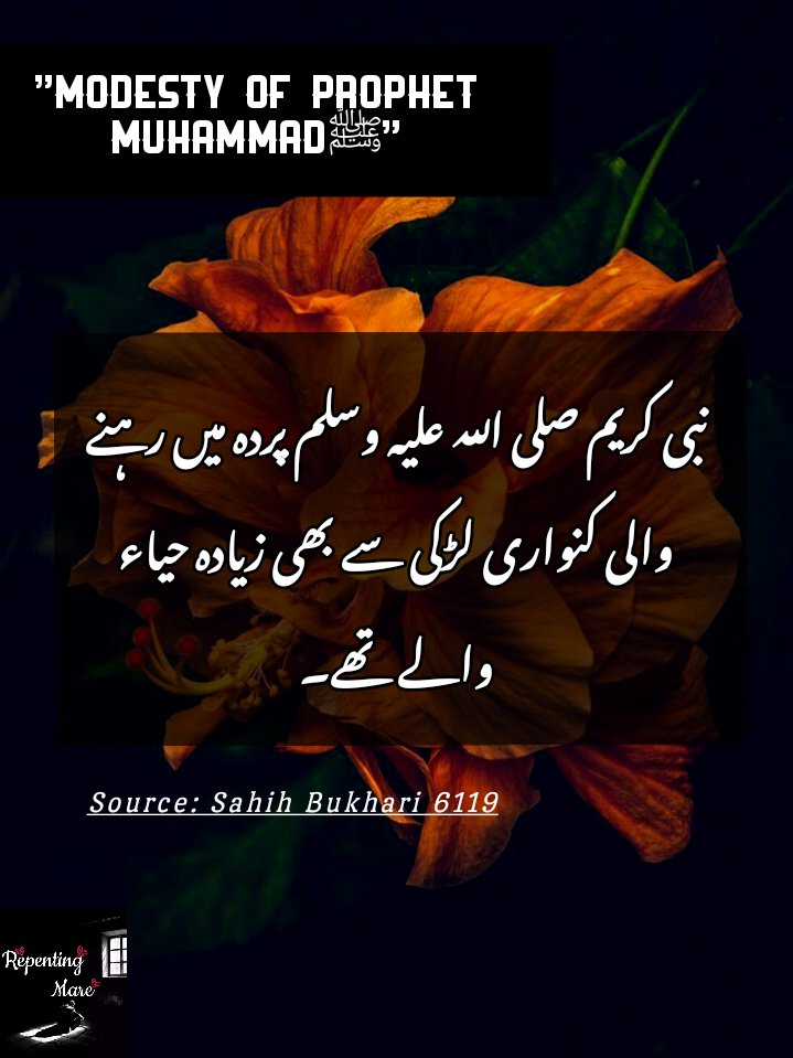 thehoneybee555's tweet photo. #repentingmare #hadith #islam #daily #modest #modesty #shaya #hayah #haya #sharam #sharmohaya #muslim #damin #reminder #dua #supplicate #supplication #words #Allah #Muhammad #prophet #true #truth #hope #humanity #peace #learn #like #together #faith https://t.co/wBXLsE3xEh
