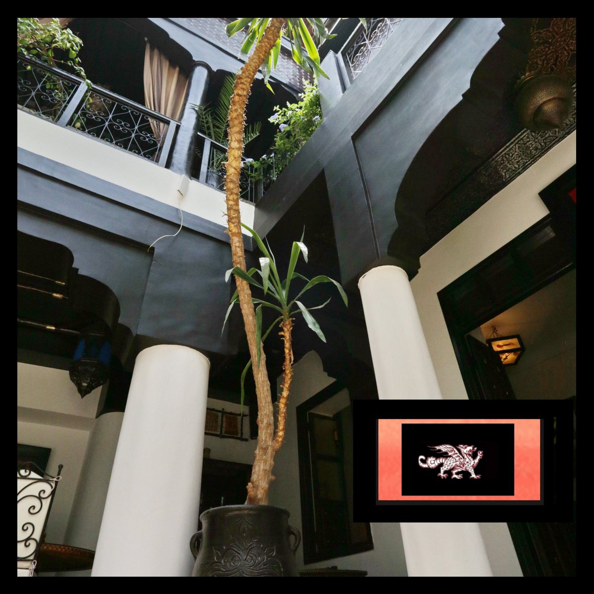 " #COOLEST #RIAD IN #MARRAKECH "
<a href="/MadeinMorocco/">Made in Morocco</a> <a href="/visit_marrakech/">visitmarrakechregion</a> <a href="/DJBlackzitoun/">WorldTravellersUnitedForAcollectiveEvolution</a> 
<a href="/RaoufNicholson/">Raouf Nicholson</a> @AntonCountrySup