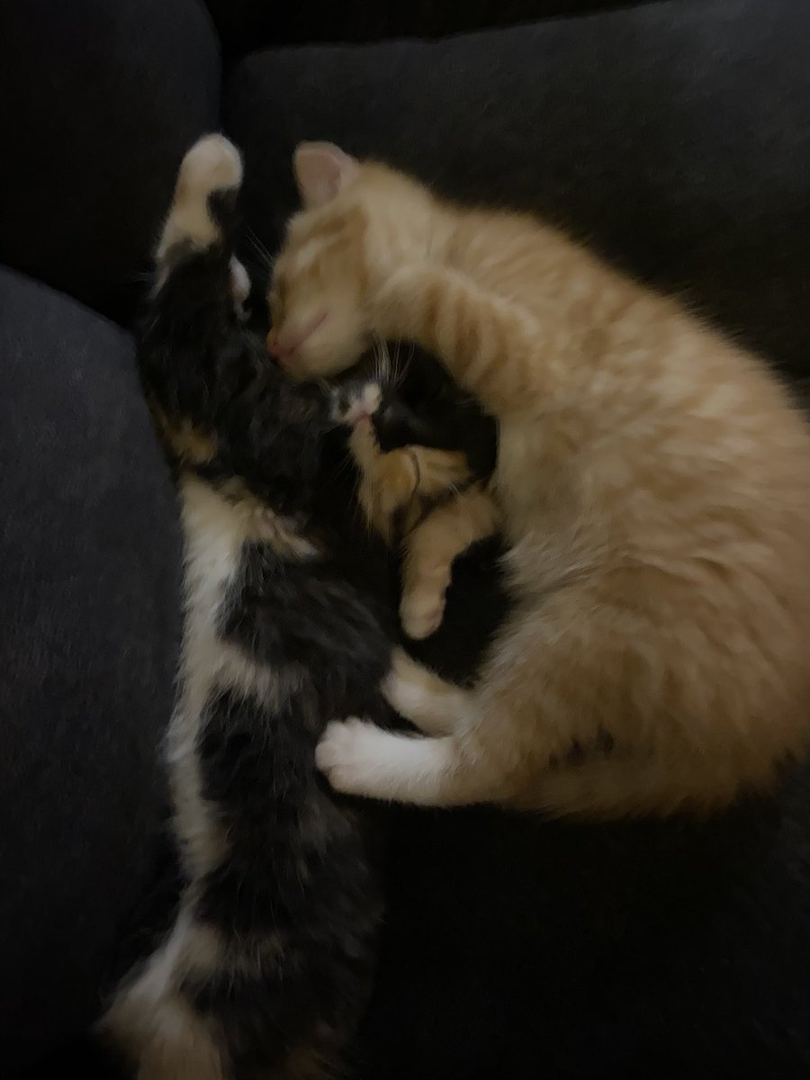 fireball vibing in the corner