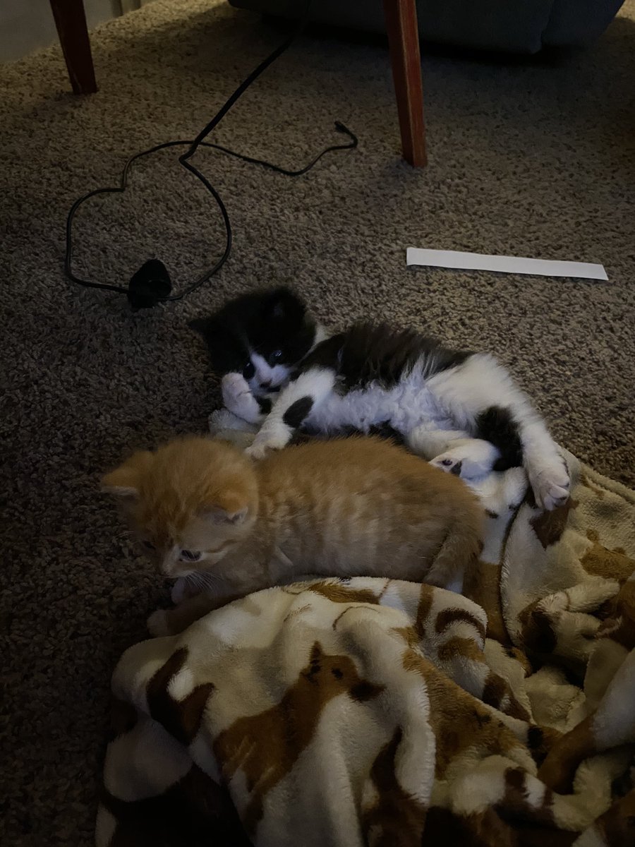 fireball vibing in the corner