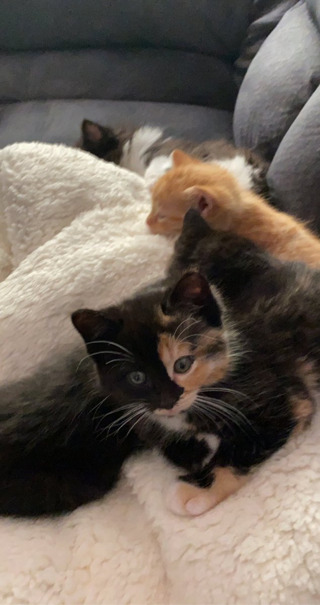 fireball vibing in the corner