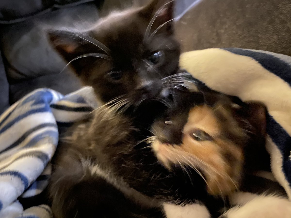 fireball vibing in the corner