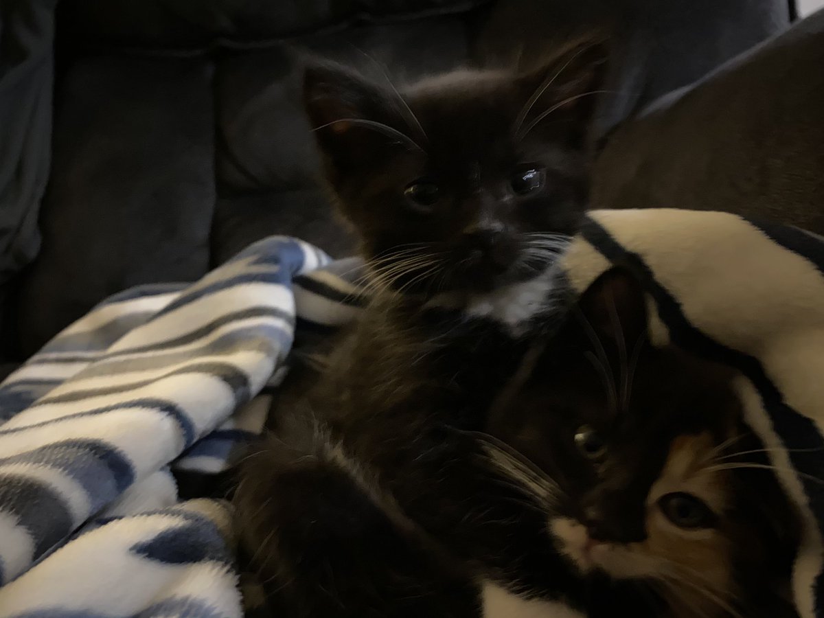 fireball vibing in the corner