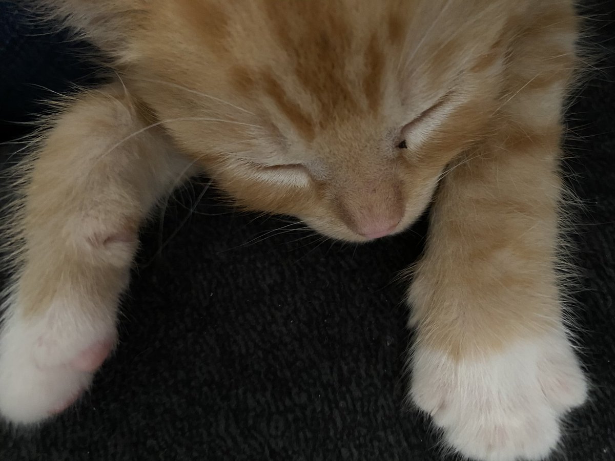 fireball vibing in the corner