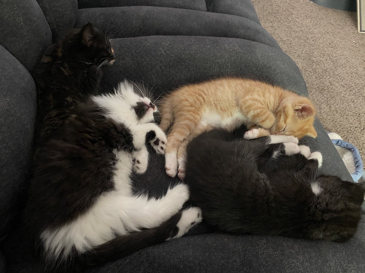 fireball vibing in the corner