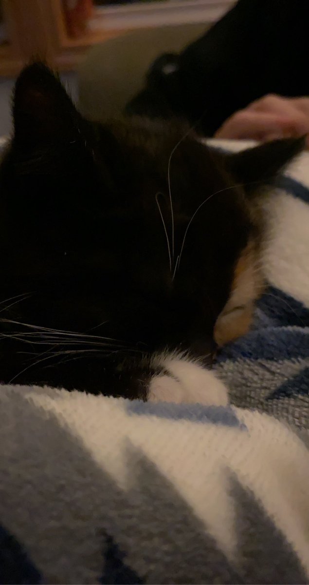 fireball vibing in the corner