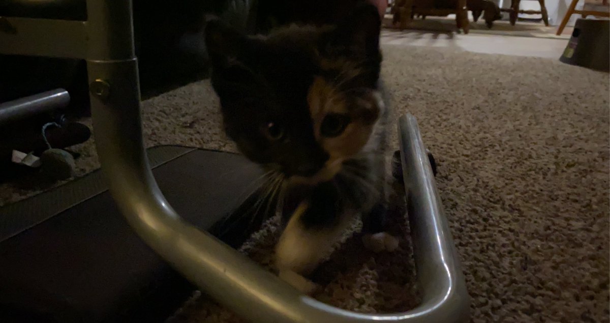 fireball vibing in the corner